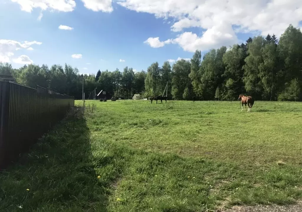 Деревня редино солнечногорского