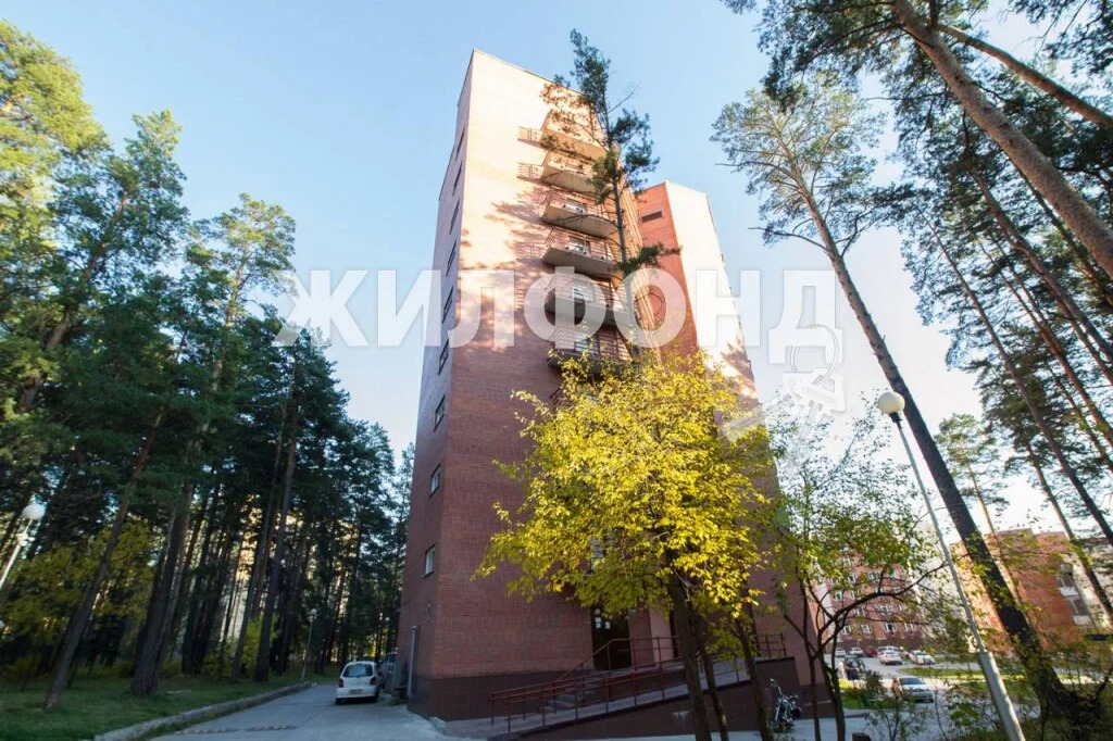 Продажа квартиры, Бердск, Речкуновская зона отдыха - Фото 5