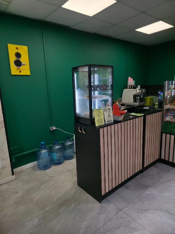 Продается ПСН 45.4 м2 - Фото 3