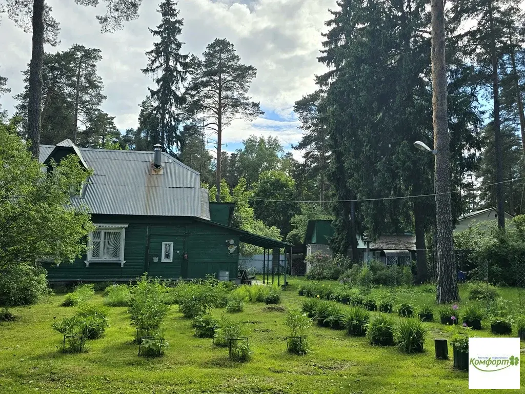 Продается участок 30 сот. в черте гор. Раменское, ул. Сосновая, уч.10 - Фото 7