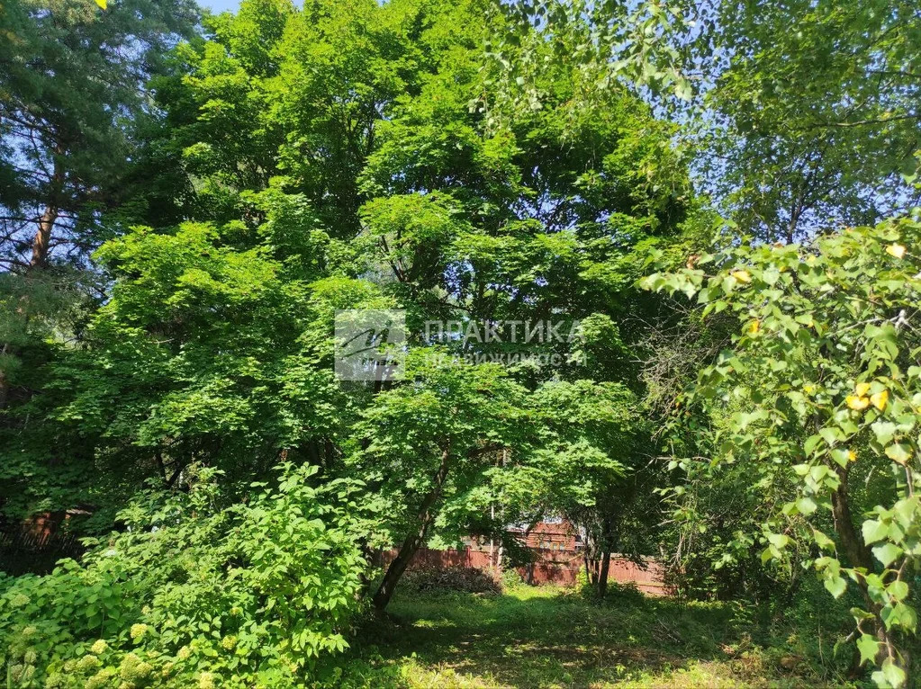 Продажа дома, Королев, Ленинградская улица - Фото 18