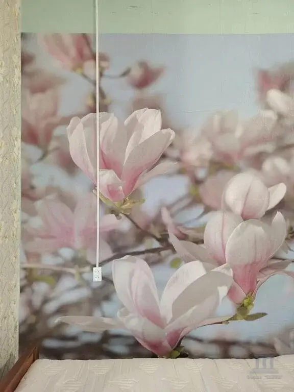 Продаю комнату в коммунальной квартире в самом центре Ростова-на-Дону - Фото 7