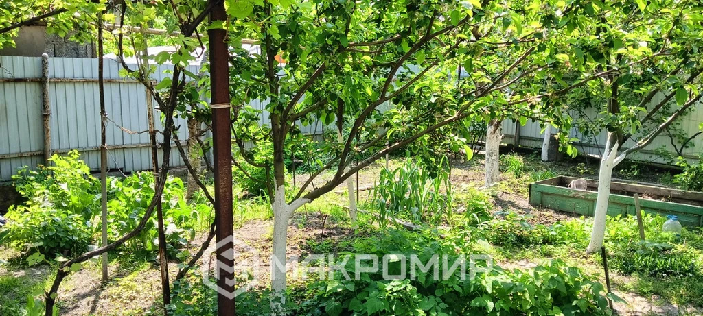 Продажа дома, Новороссийск, ул. Курская - Фото 12