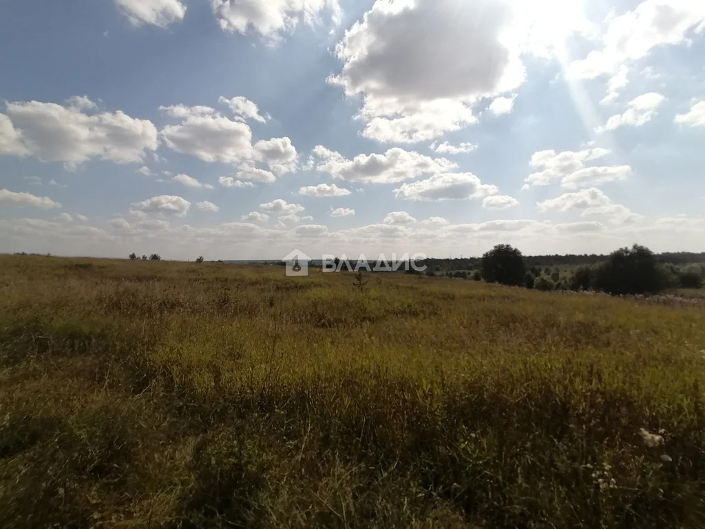 городской округ Владимир, село Мосино, Ленинский район,  земля на ... - Фото 5