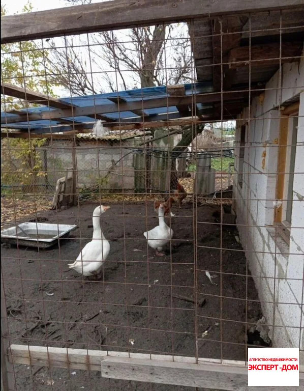 Продажа дома, Весело-Вознесенка, Неклиновский район - Фото 18