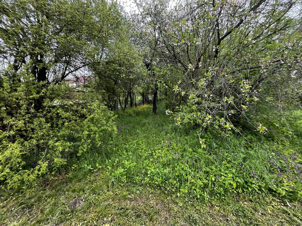 Продажа участка, Смоленская, Северский район, ул. Заливная - Фото 7
