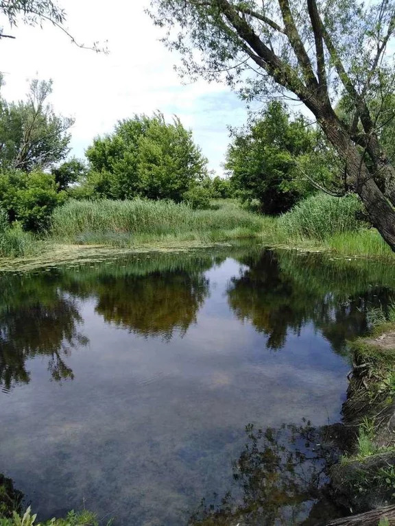 Рождественская хава фото