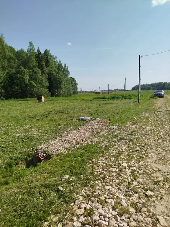 Земельный участок у леса - Фото 7