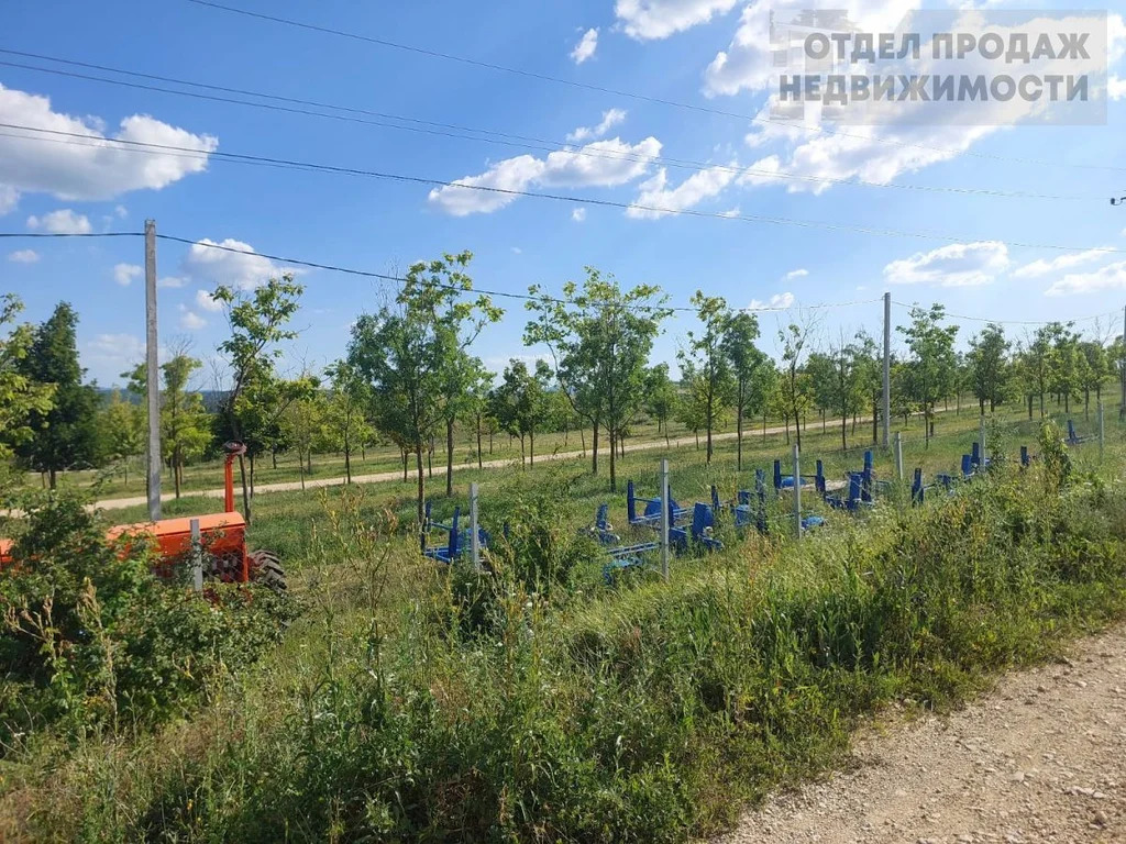 Участок в живописном районе - Фото 4