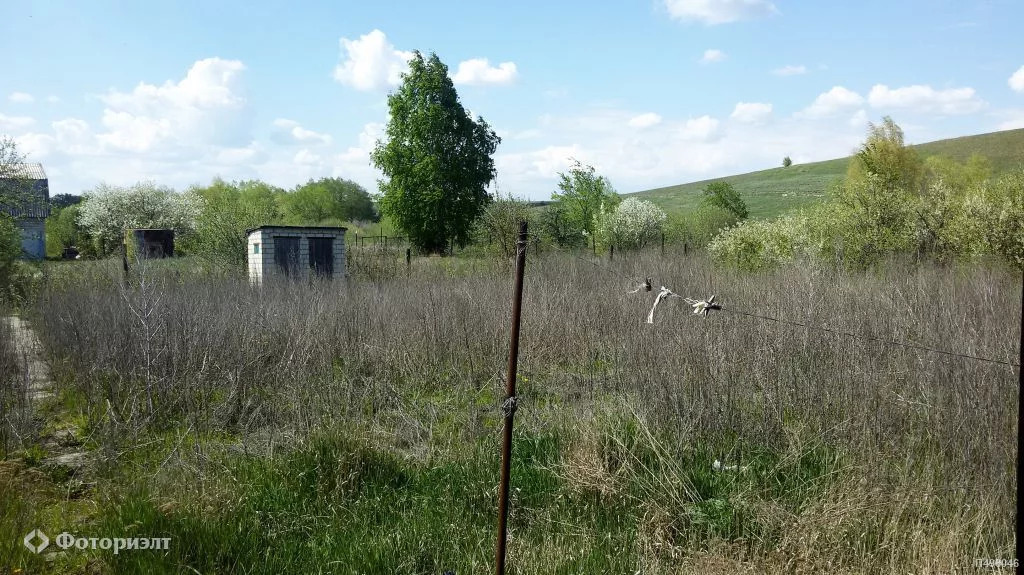 Рыбушки саратовская область карта