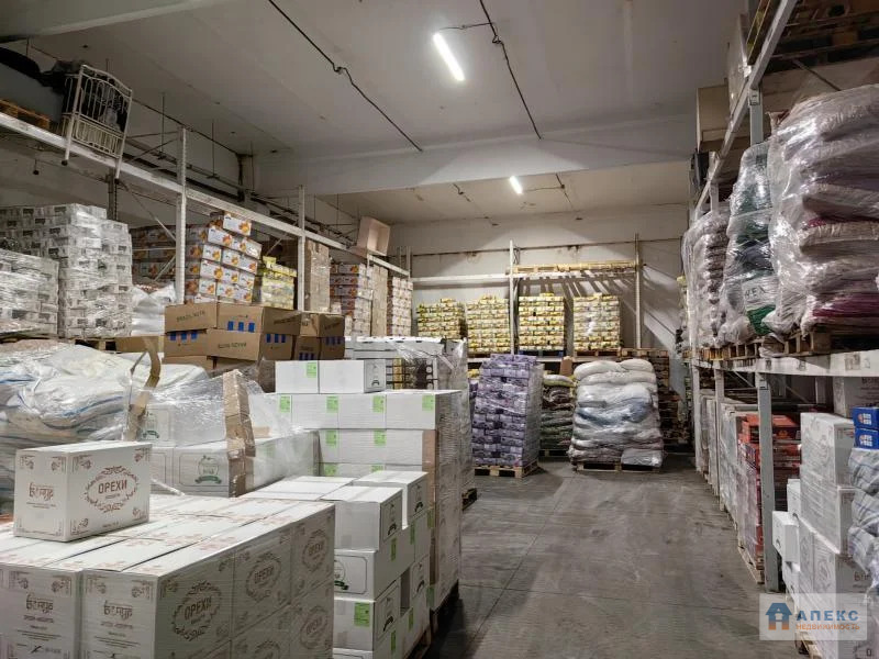 Аренда помещения пл. 570 м2 под склад, пищевое производство, ... - Фото 8