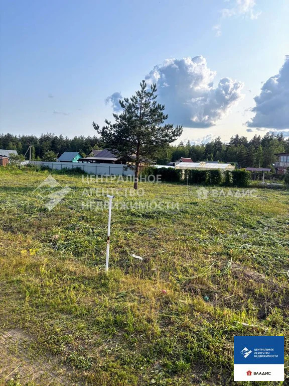 Продажа участка, Рязанский район, садоводческое товарищество Мещера - Фото 7