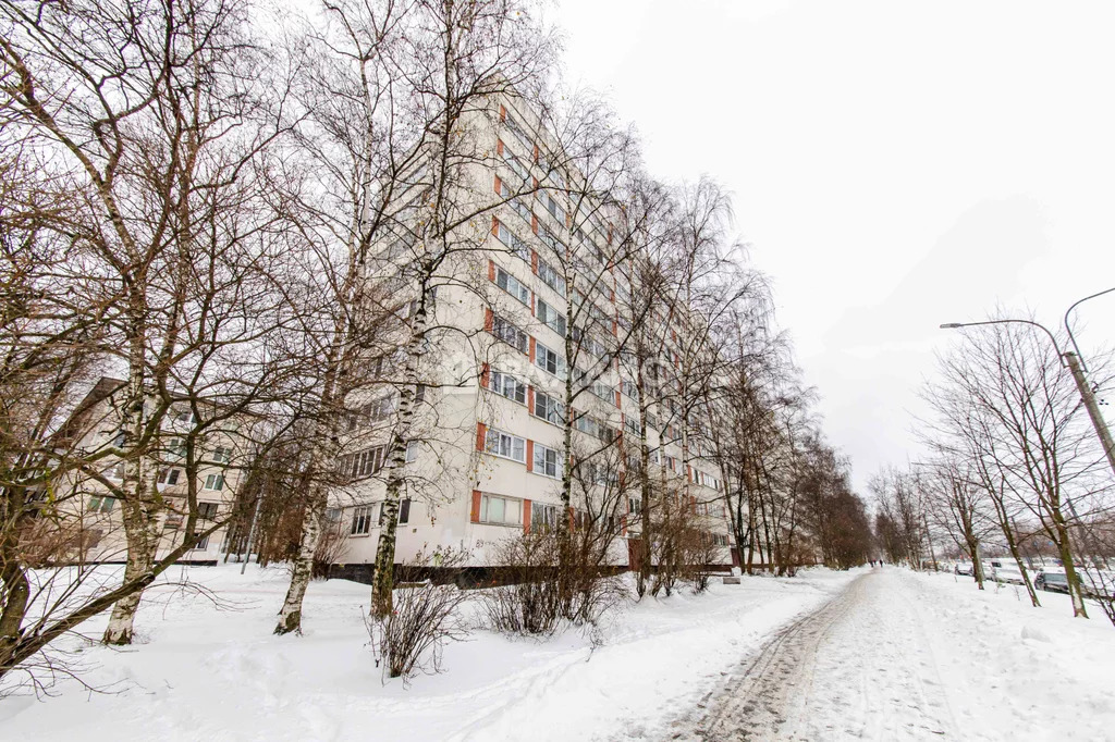 Санкт-Петербург, Суздальский проспект, д.105к1, 3-комнатная квартира ... - Фото 26