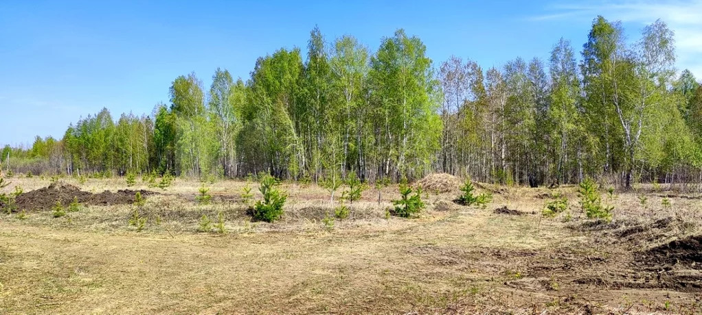 Продажа земельного участка, Тюменский район, Тюменский р-н - Фото 7