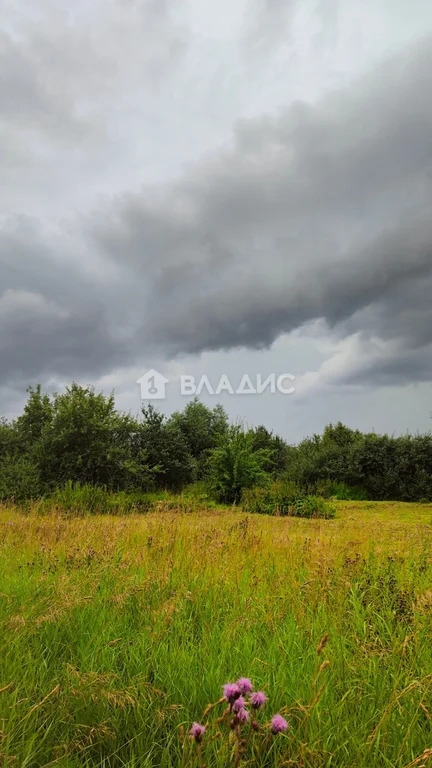 Юрьев-Польский район, деревня Карандышево,  земля на продажу - Фото 5