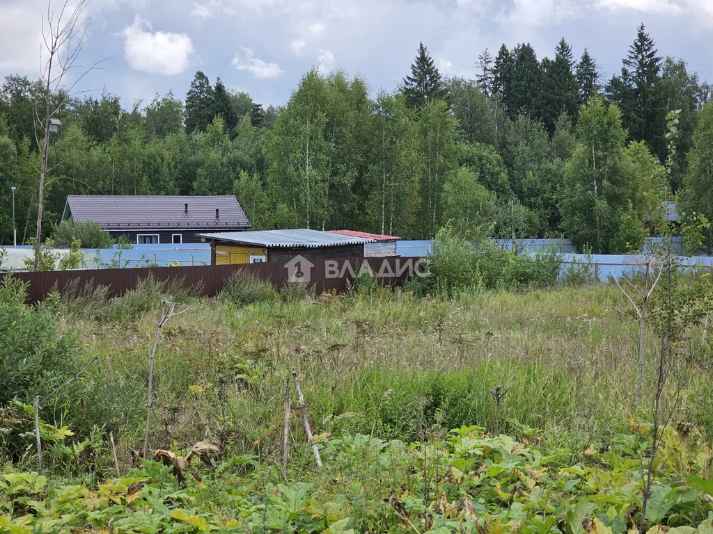 Дмитровский городской округ, деревня Лупаново,  земля на продажу - Фото 2