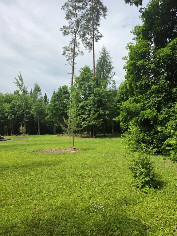 Продажа участка, Мытищинский район - Фото 29