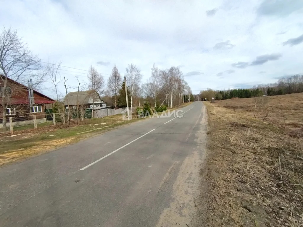 Собинский район, деревня Вишняково,  земля на продажу - Фото 4