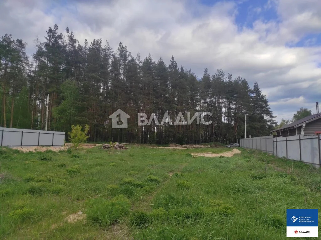 Продажа участка, Заборье, Рязанский район, Рябиновая улица - Фото 4