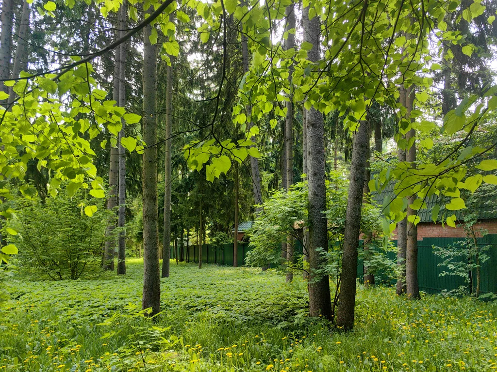 Продажа участка, Апрелевка, Наро-Фоминский район, ул. Кутузова - Фото 32