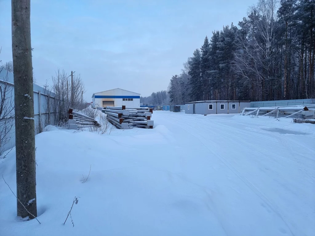 Продажа производственного помещения, Разбегаево, Ломоносовский район - Фото 2