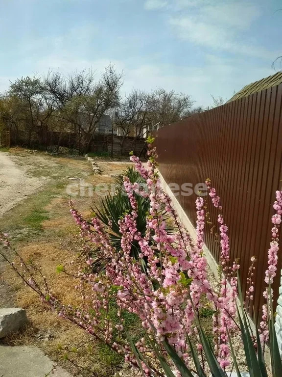 Продажа участка, Севастополь, территория СТ Берёзка - Фото 2