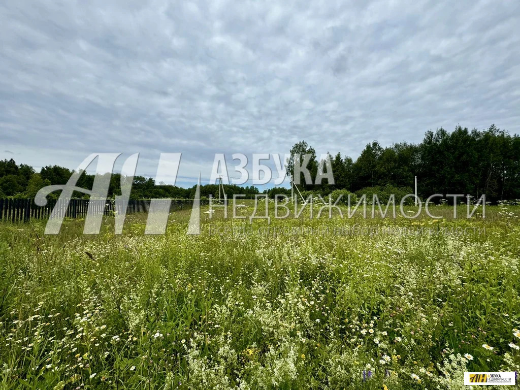 Продажа участка, Шейно, Истринский район - Фото 4