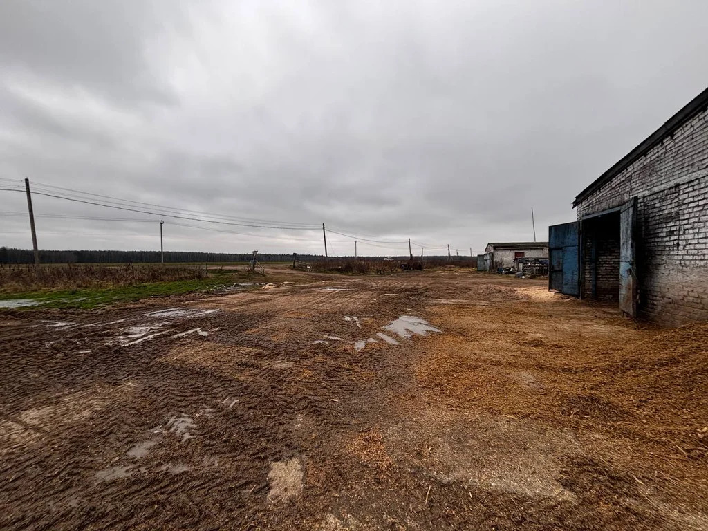 Аренда производства 3350 м2 - Фото 12