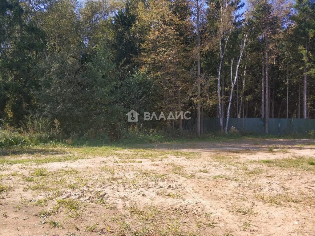 Наро-Фоминский городской округ, деревня Жёдочи, территория КП Усадьба ... - Фото 2