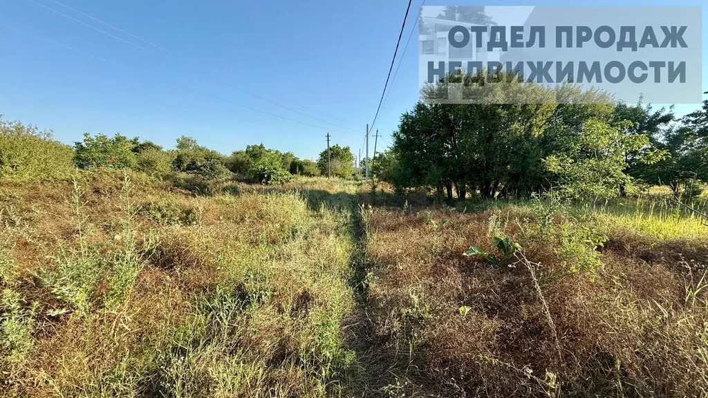 Участок - Фото 4