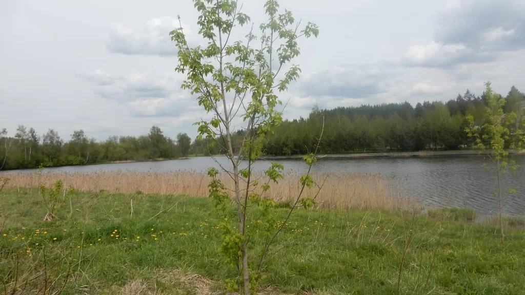 Продажа участка, Батюшково, Дмитровский район - Фото 4