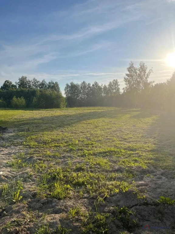 Продажа участка, Большое Ушаково, Истринский район - Фото 2