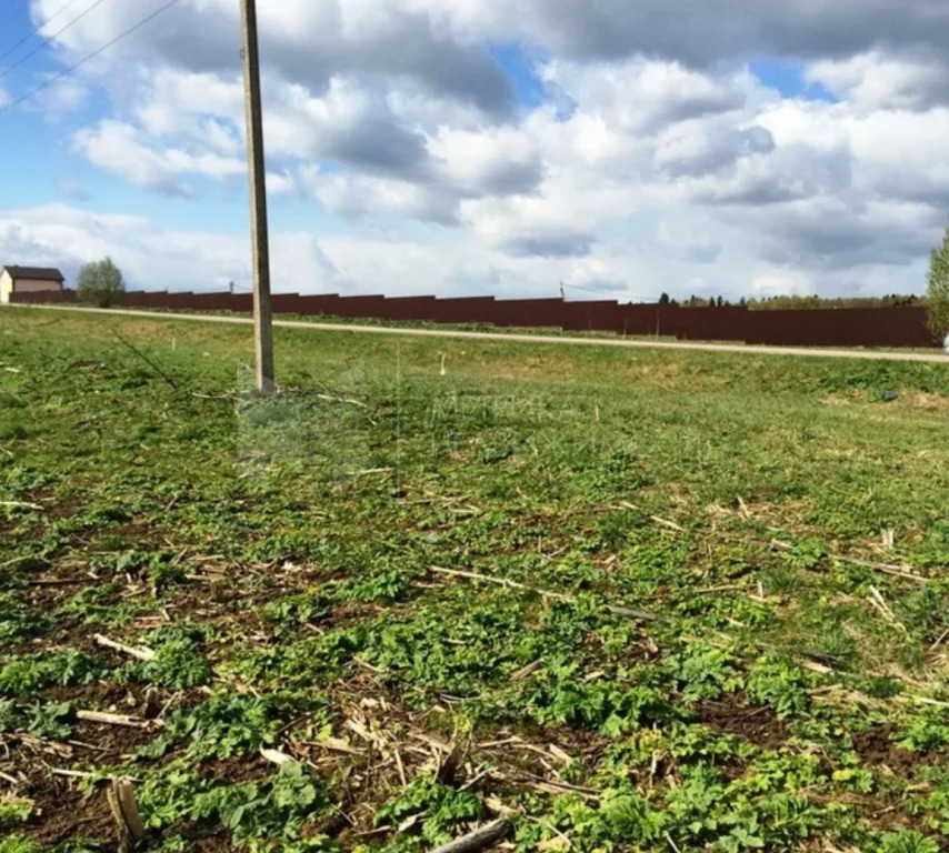 земельный участок фото. дальний восток участок. объединение земельных участков. участок 8 соток. участок земли был выделен.