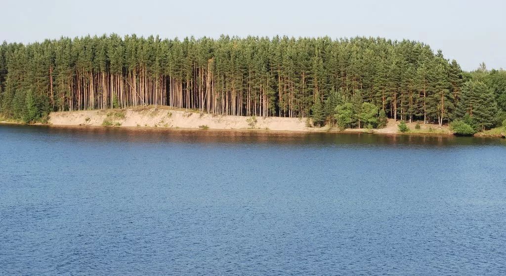 Верхневолжское водохранилище. Остров Басово Калязинский район. Углич деревня Налуцкое. Остров Александровский Угличский район.