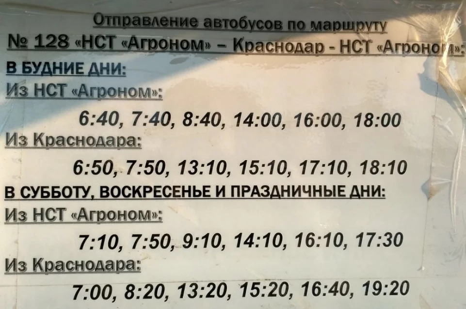 Оз расписание краснодар. Расписание 128 автобуса Краснодар-агроном. Расписание автобусов агроном Краснодар 104 128. Расписание 104 автобуса агроном Краснодар. Расписание 128 агроном Краснодар.