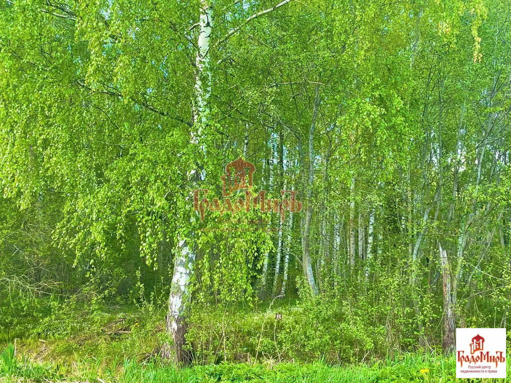 Купить Участок В Городе Клин