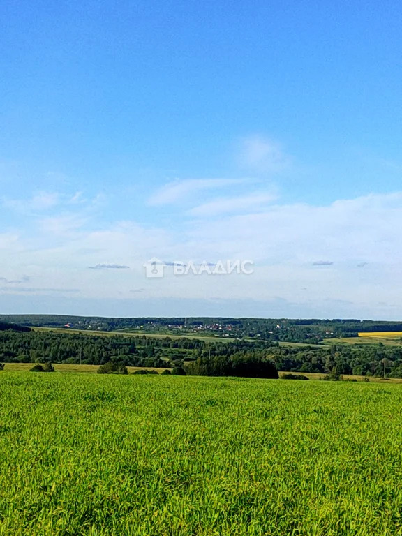 Суздальский район, село Сновицы, улица Гагарина,  земля на продажу - Фото 6