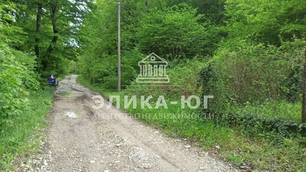 Продажа участка, Ольгинка, Туапсинский район, СНТ Успех - Фото 1