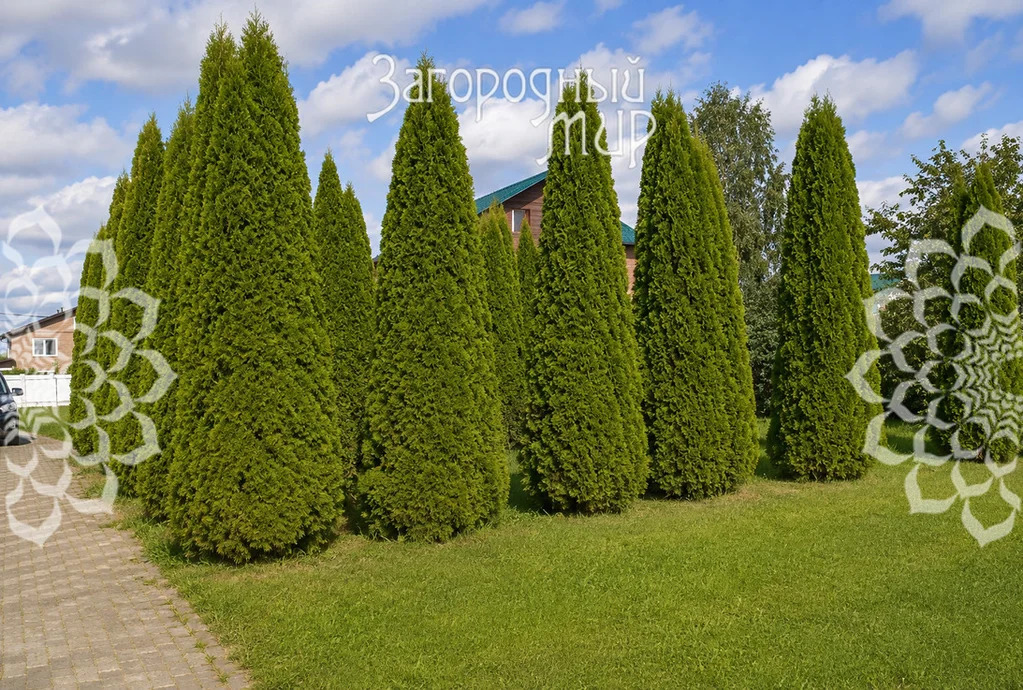 Продам участок, Симферопольское шоссе, 15 км от МКАД - Фото 10