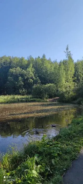 3 ком квартира . Около метро - Фото 14