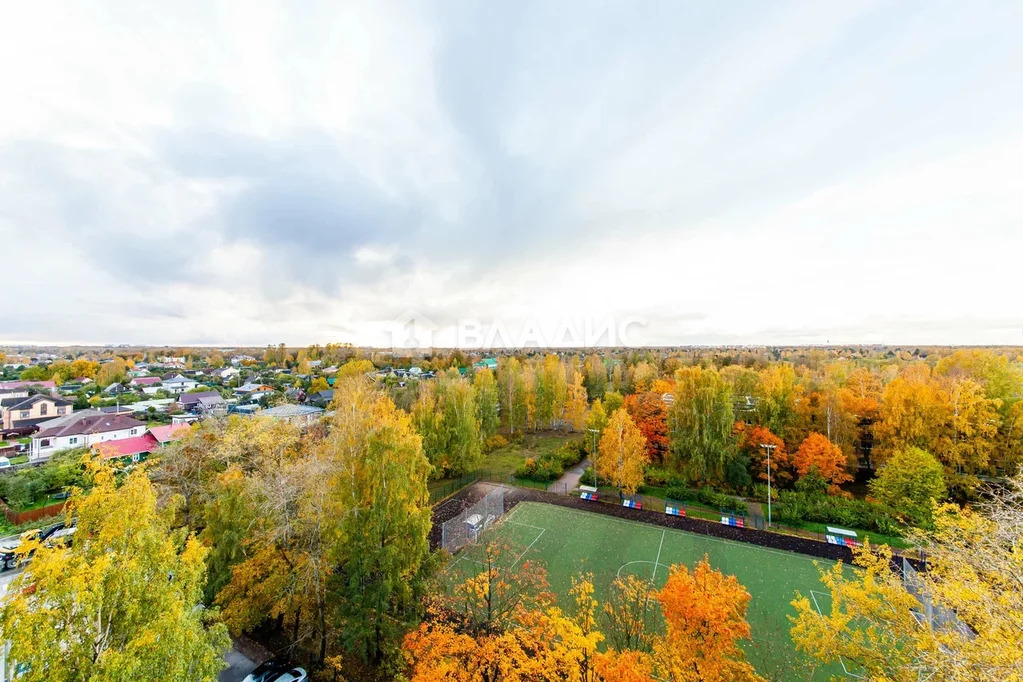 Санкт-Петербург, Школьная улица, д.43, 3-комнатная квартира на продажу - Фото 10