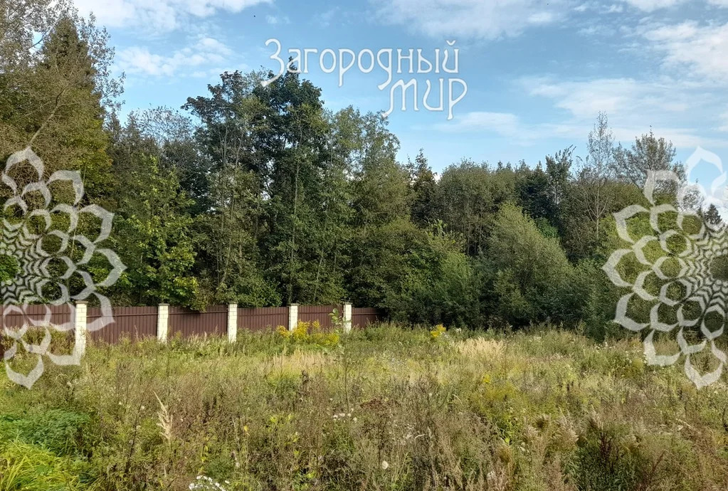 Продам участок, Ярославское шоссе, 38 км от МКАД - Фото 7