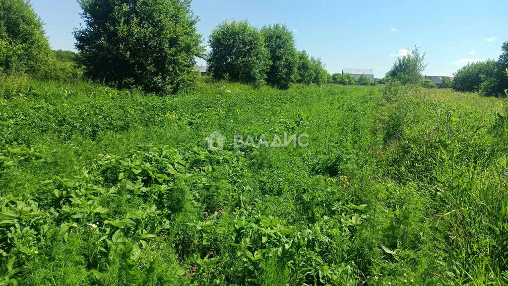 Юрьев-Польский район, село Чеково, 1-я улица,  земля на продажу - Фото 9