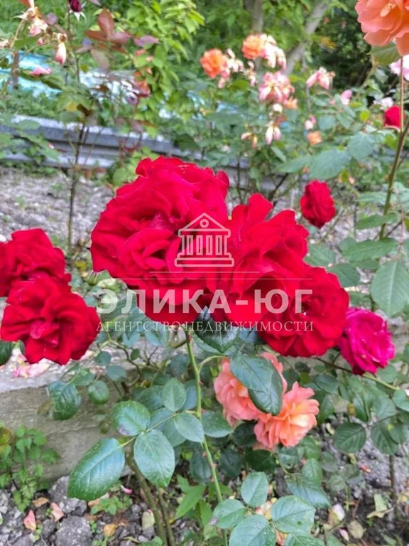 Продажа дома, Джубга, Туапсинский район, ул. Зеленая - Фото 17