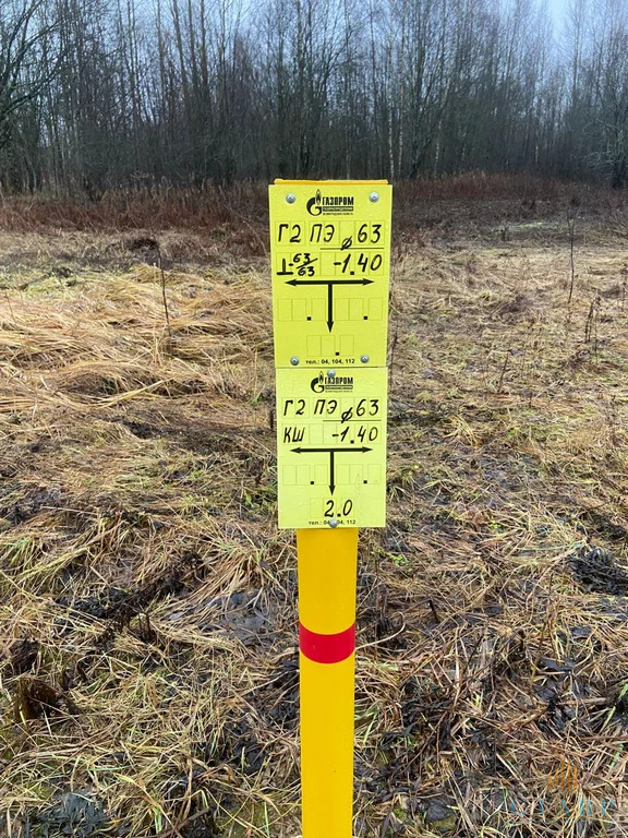 Продажа участка, Большие Озертицы, Волосовский район, деревня Большие ... - Фото 10