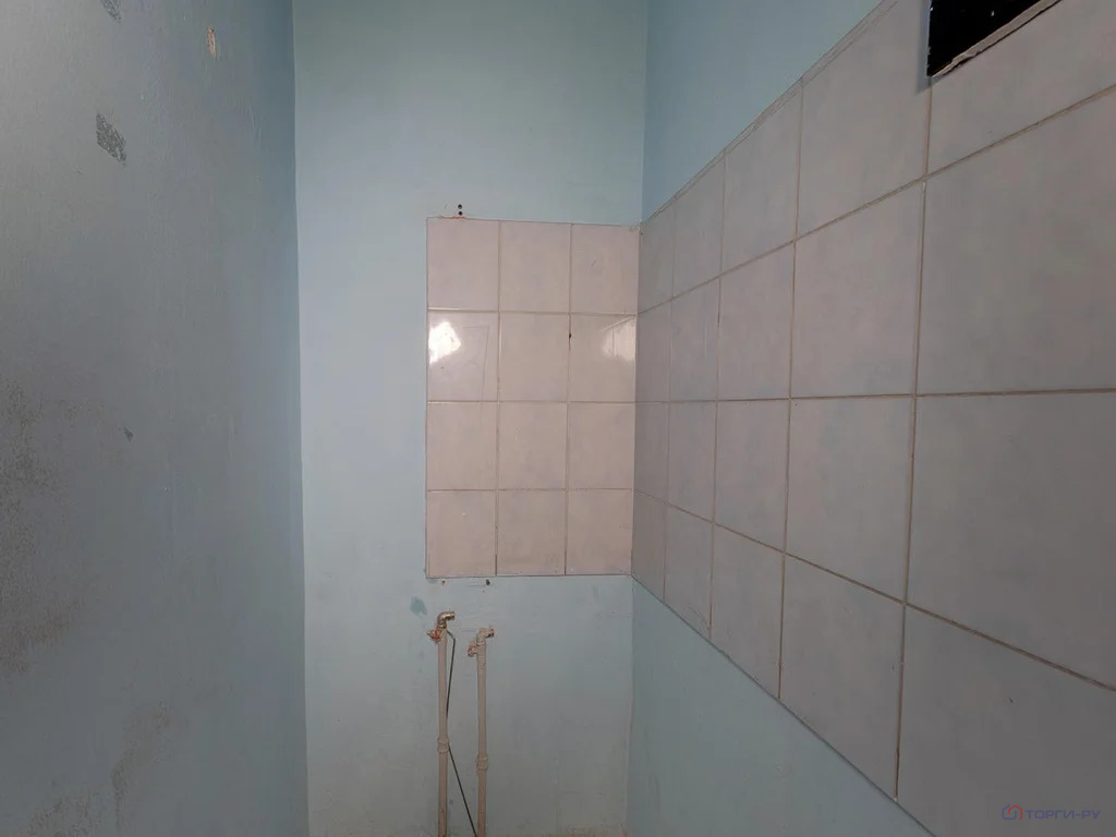 Продажа ПСН, ул. Ивана Сусанина - Фото 41