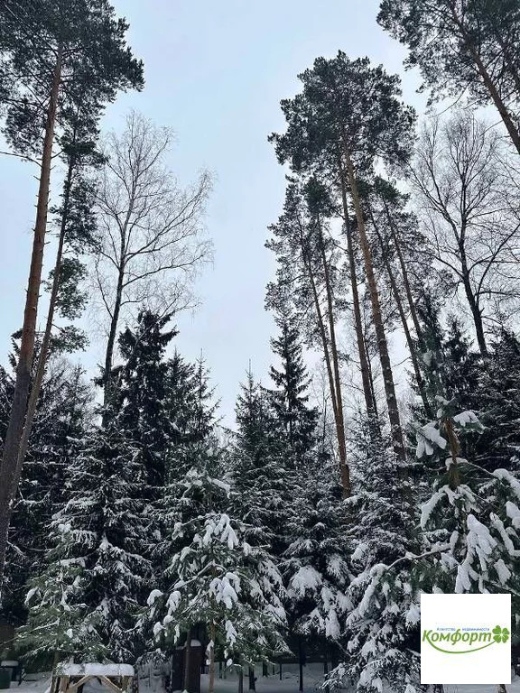 Продажа дома, Раменский район, ул.Ольховая - Фото 3