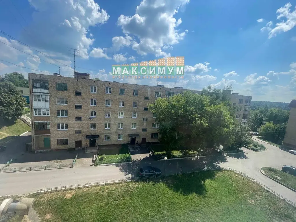 2 комнатная квартира в с. Семеновское Ступинского городского округа - Фото 15