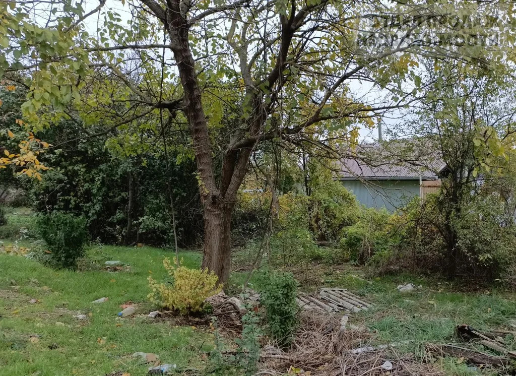 Участок 10 соток - Фото 2