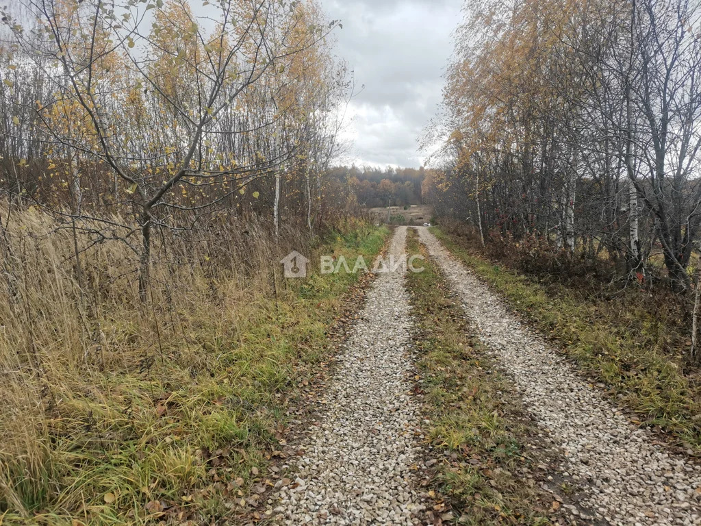 Суздальский район, село Новоалександрово,  земля на продажу - Фото 3